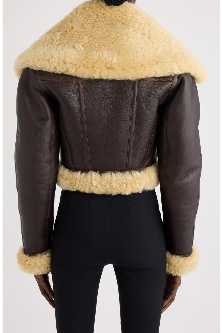 The Aviatore Asymmetric Aviator Jacket, Alternate, color, DARK BROWN