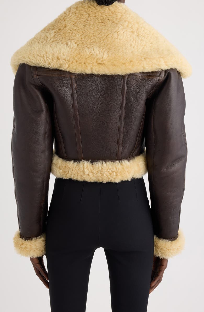 Jacquemus The Aviatore Asymmetric Aviator Jacket, Alternate, color, Dark Brown
