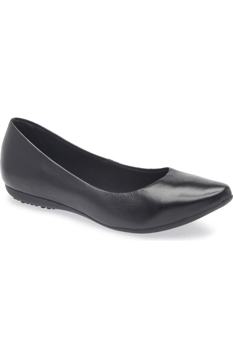 Bottero Botdogs Ballet Flat, Main, color, Preto