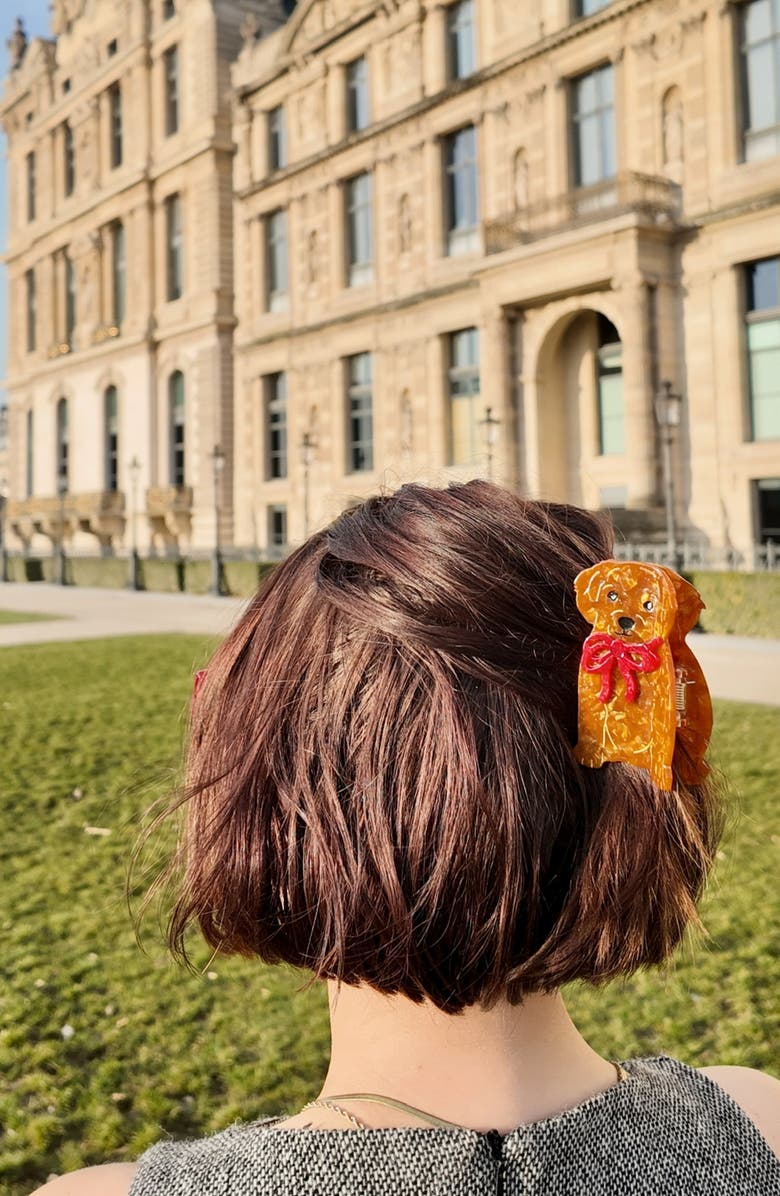 Solar Eclipse Hand Painted Bow Puppy Claw Clip, Alternate, color, Brown