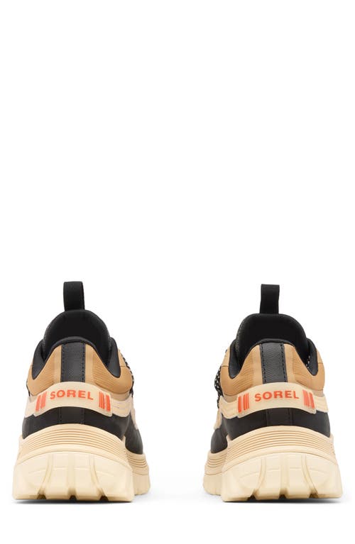Sorel Callsign Horizon™ Low Gtx Gore-tex® Waterproof Sneaker In Neutral