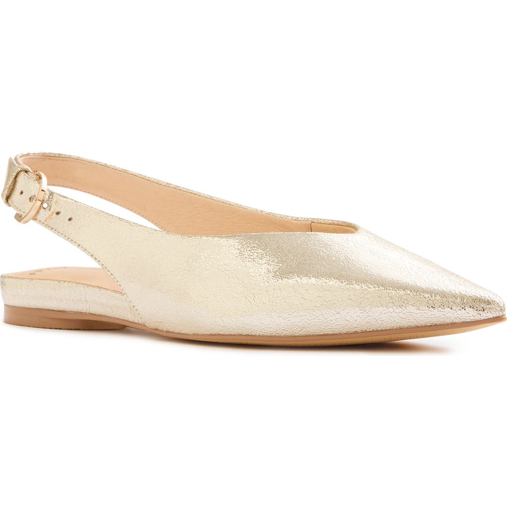 Frankie4 Luna Pointed Toe Slingback Flat