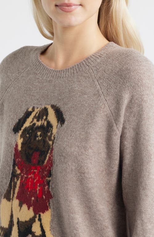 Lucky Brand Cloud Soft Pug Intarsia Sweater In Brown