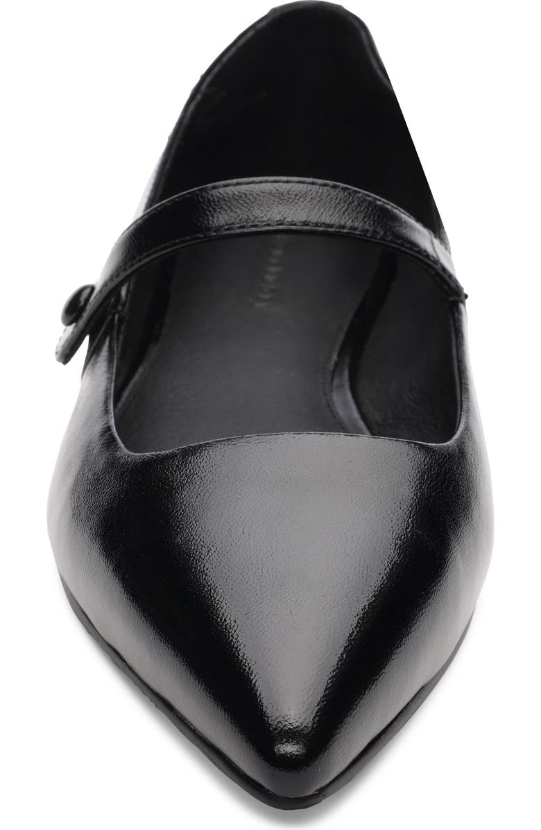 Sanctuary Clamour Pointed Toe Flat, Alternate, color,
