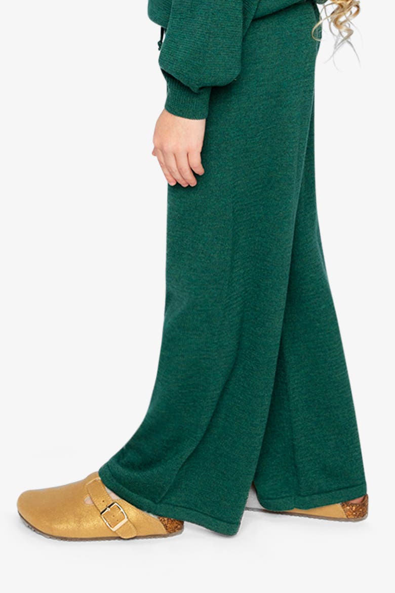 Knitted Drawstring Waist Wide Leg Flare Pants, Alternate, color, Jasper Printed Green