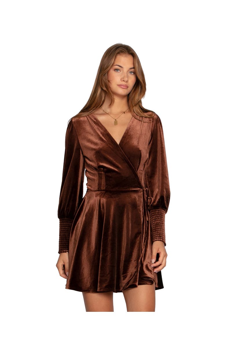 Loved You First Velvet Mini Dress, Main, color, Dark Brown