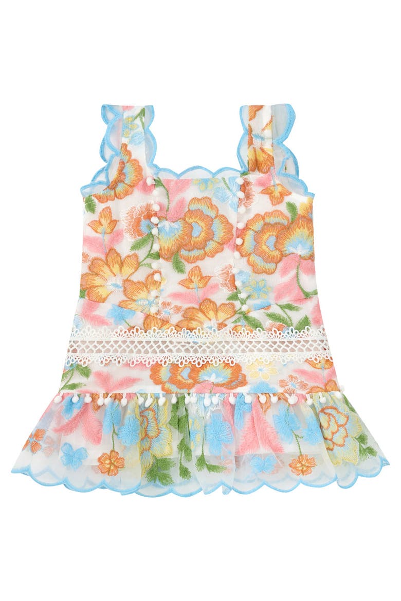 Bianca Embroidered Mini Dress, Main, color, Floral