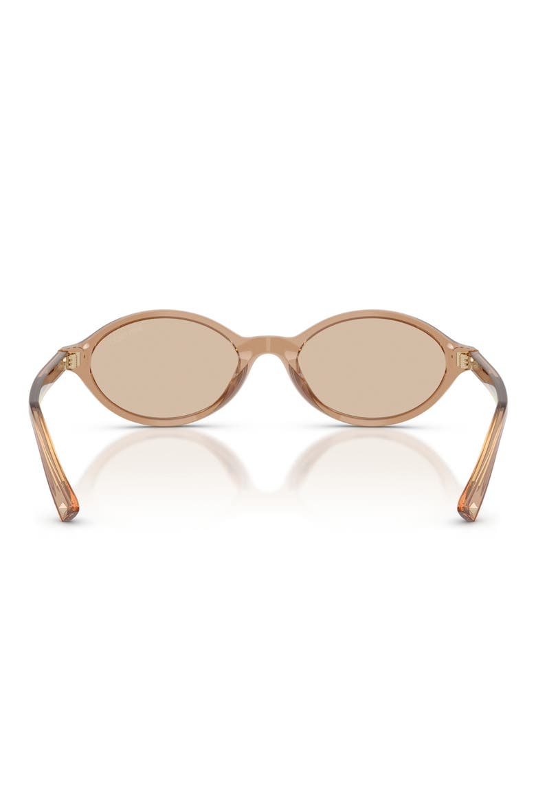 51mm Oval Sunglasses, Alternate, color, TRANSPARENT TAN / LIGHT BROWN