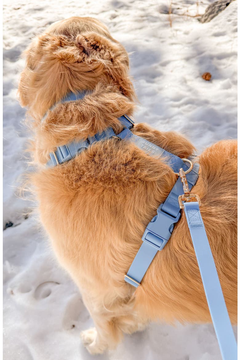 Cloud Lite Waterproof Dog Harness, Alternate, color, MALIBU BLUE