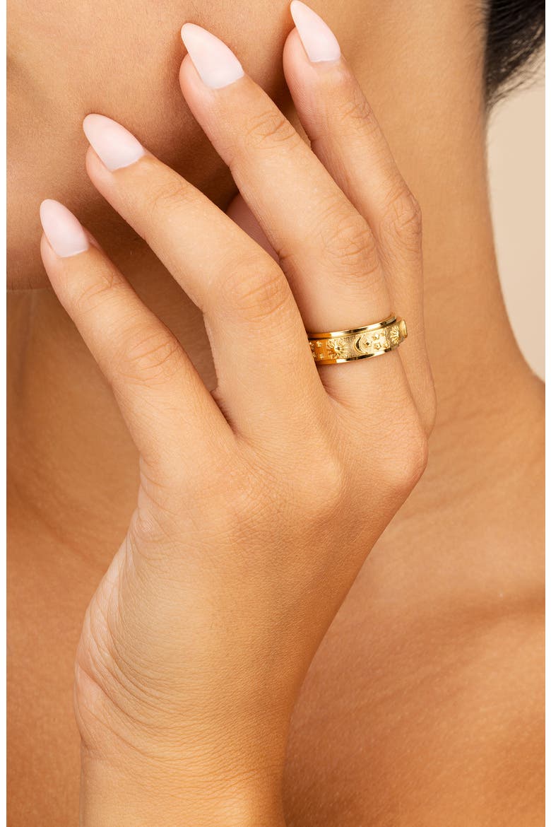 Sun & Moon Celestial Spinner Ring, Alternate, color, GOLD