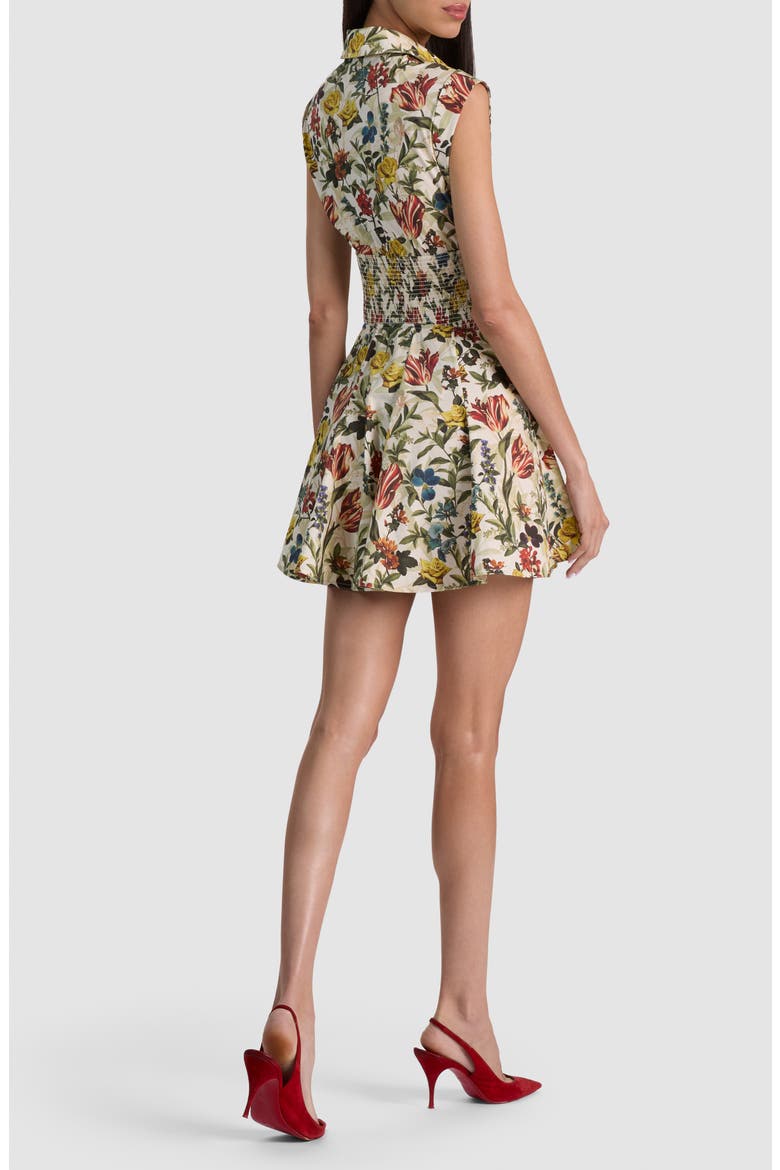 Kim Floral Paneled Minidress, Alternate, color, DESERT SPRIGS VANILLA