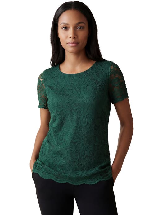 Stretch Lace Tunic