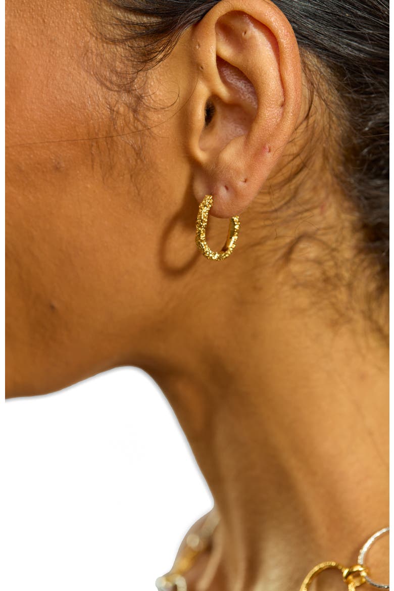 Hula Small Hoop Earring, Alternate, color, Gold