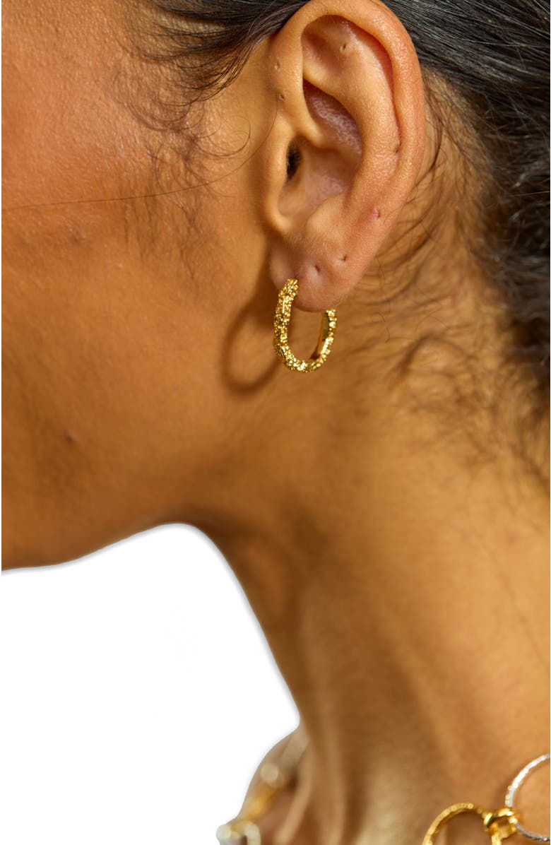 Lucy Quartermaine Hula Small Hoop Earring, Alternate, color, Gold