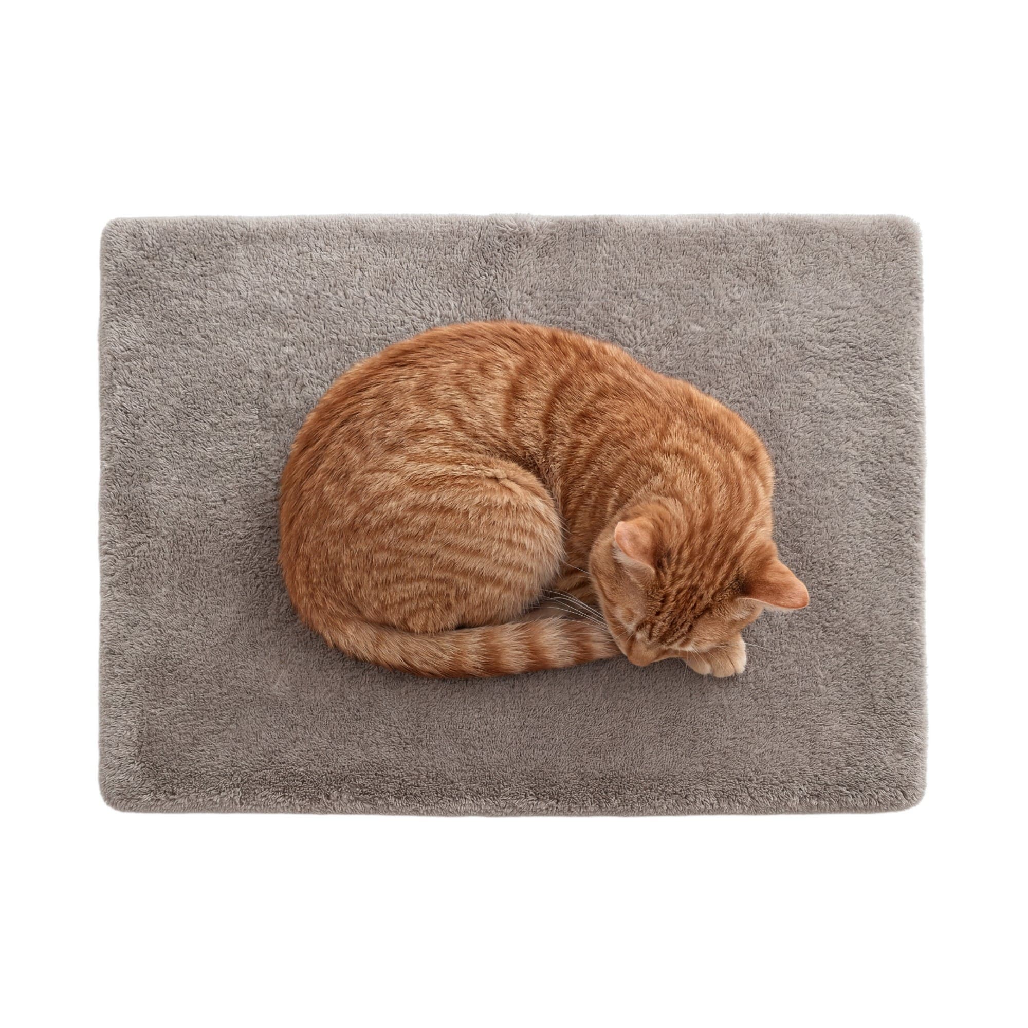 selected Silver Mink