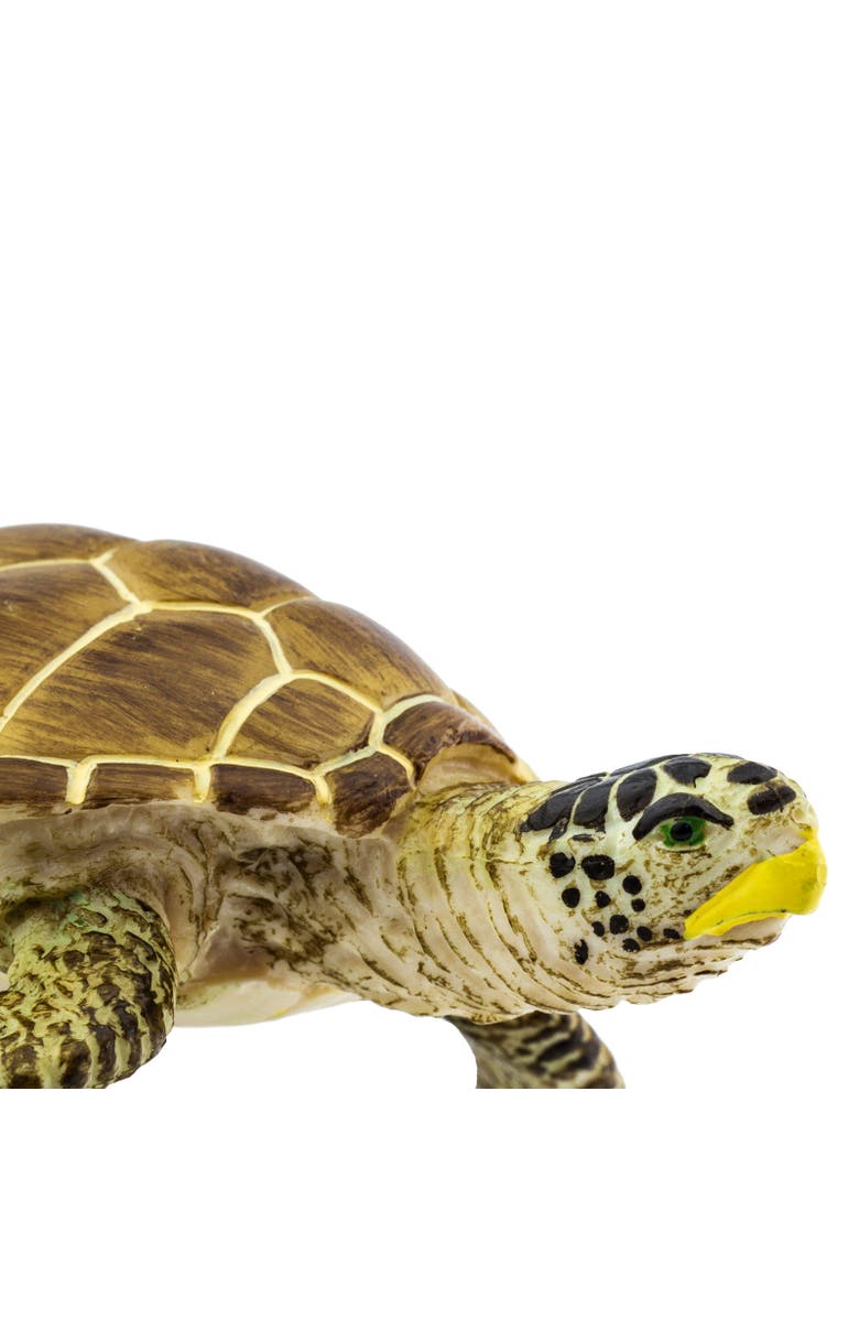 Safari Ltd. Loggerhead Turtle Kids Toy Figure, Alternate, color, NO COLOR