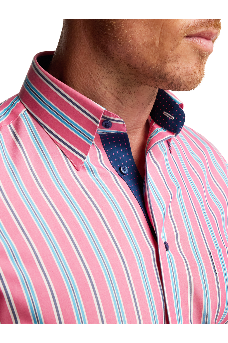 Cotton Buttondown Collar Broadcloth Classic Contrast Trim Button Cuff Long Sleeve Shirt, Alternate, color, Pink/ Blue