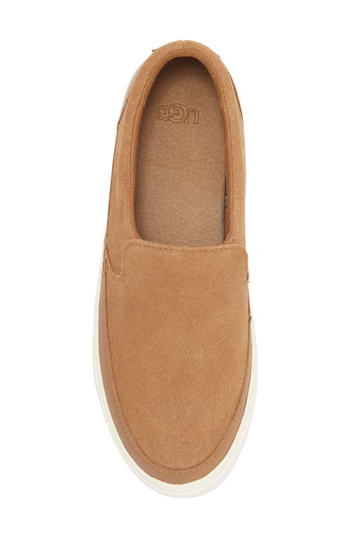 Ugg ® Zilo Slip-on Sneaker In Chestnut