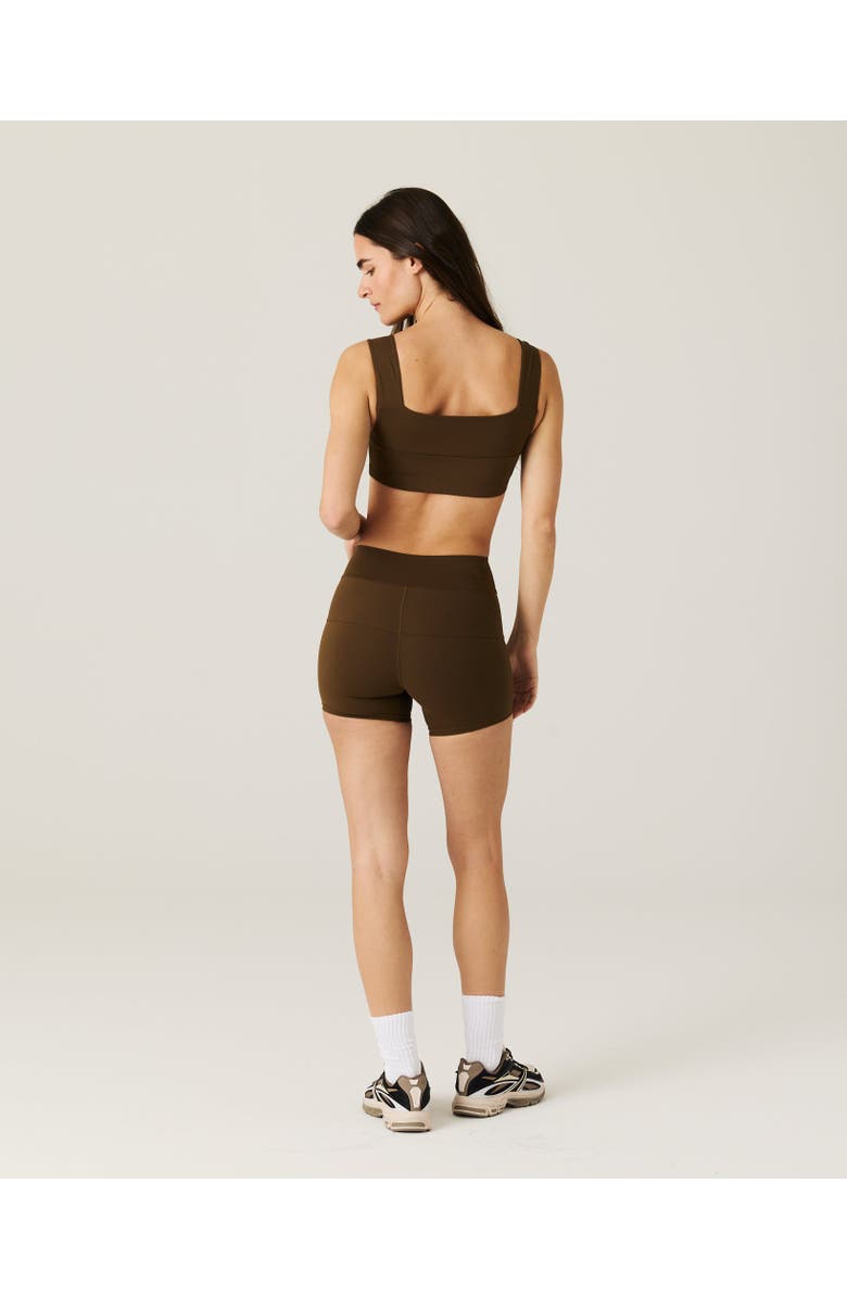 Daughter Lessons Cruise Shorts, Alternate, color, Brown