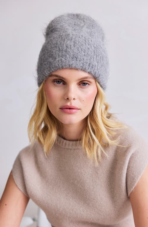 Arctic Fox & Co. Arctic Fox & Co The Alpaca Blend Beanie In Gray