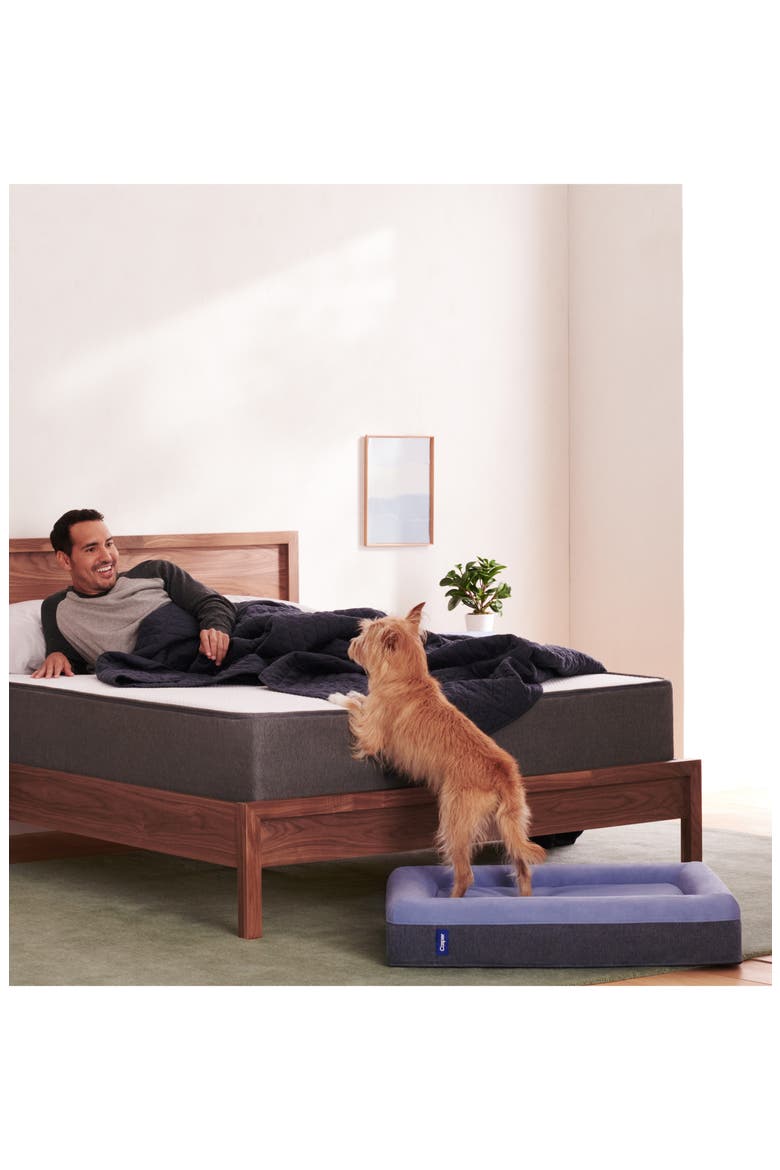 Dog Bed, Alternate, color, BLUE