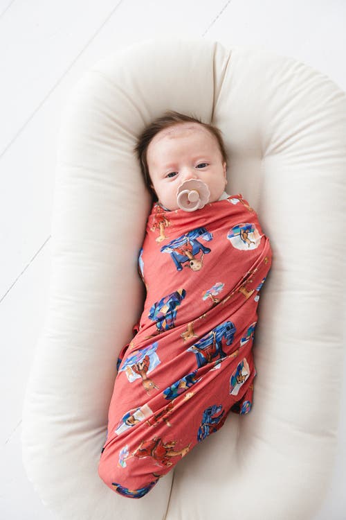 Shop Charlie Lou Baby ® Llama Llama Red Pajama Stretchy Swaddle