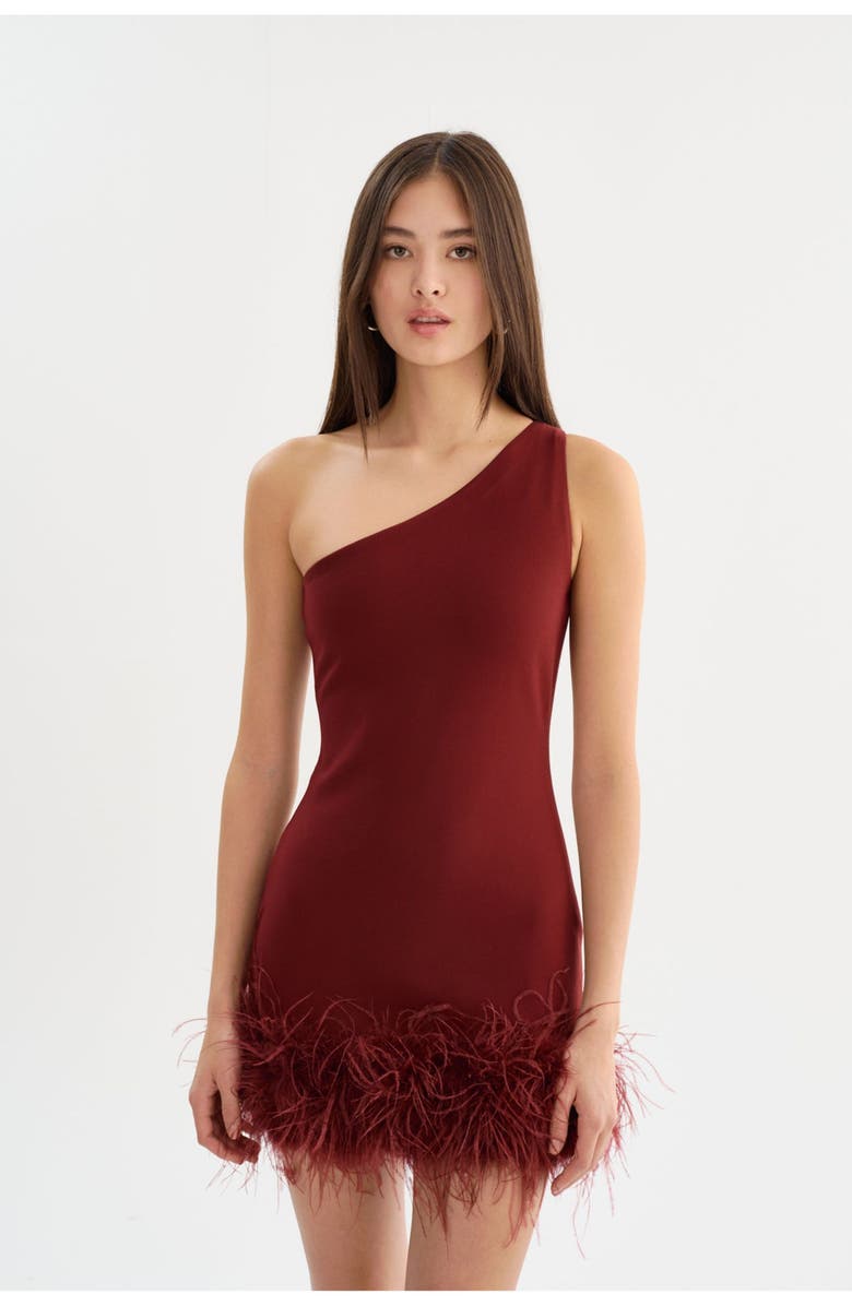 LAMARQUE Tafia | One Shoulder Mini Dress, Main, color, Syrah