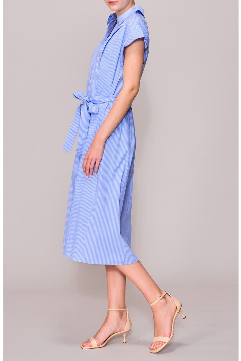 Cap Sleeve Shirtdress, Alternate, color, BLUE/ IVORY STRIPE
