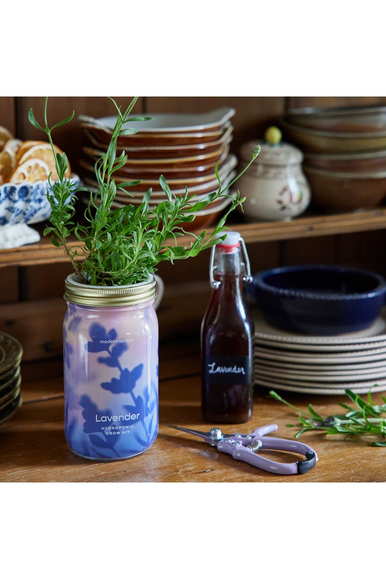 Garden Jar, Alternate, color, Lavender