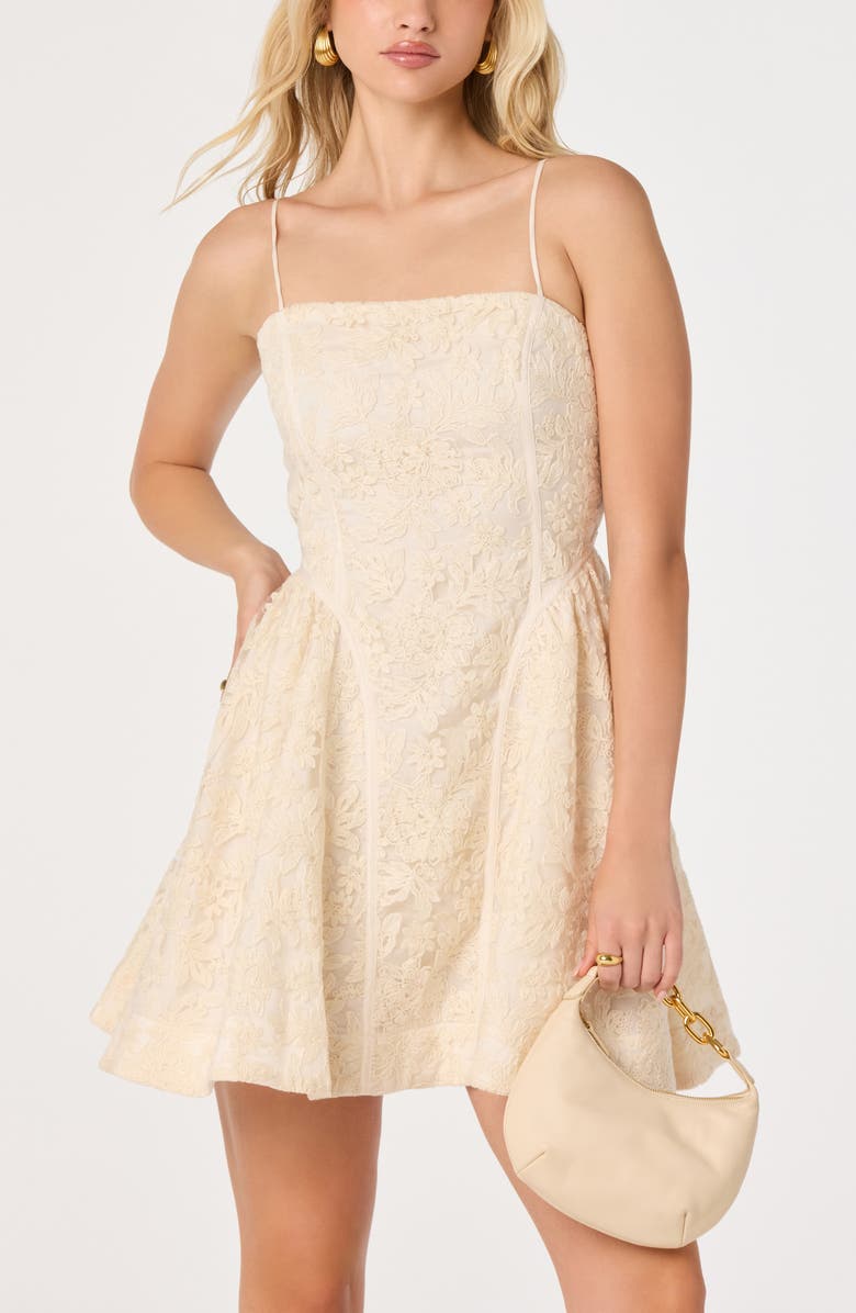 ASTR the Label Natalya Embroidered Lace Cotton Blend Minidress, Alternate, color, Cream