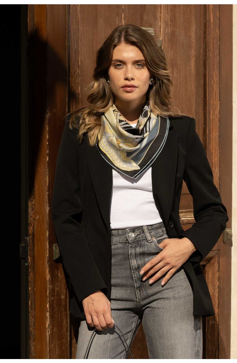 Elizabetta Fontana - Silk Foulard for Women, Alternate, color, Steel