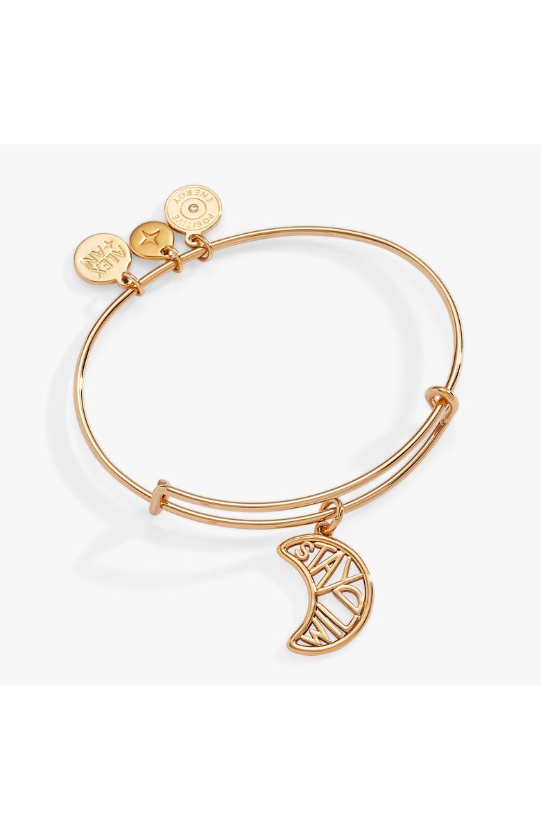 Alex and Ani Stay Wild Bangle Bracelet, Main, color, 