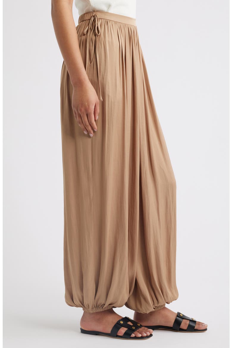 Eshe Balloon Pants, Alternate, color, PINTO BROWN