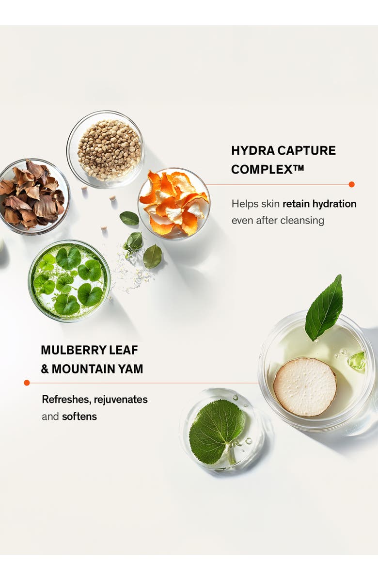 Sulwhasoo Gentle Cleansing Foam, Alternate, color, 