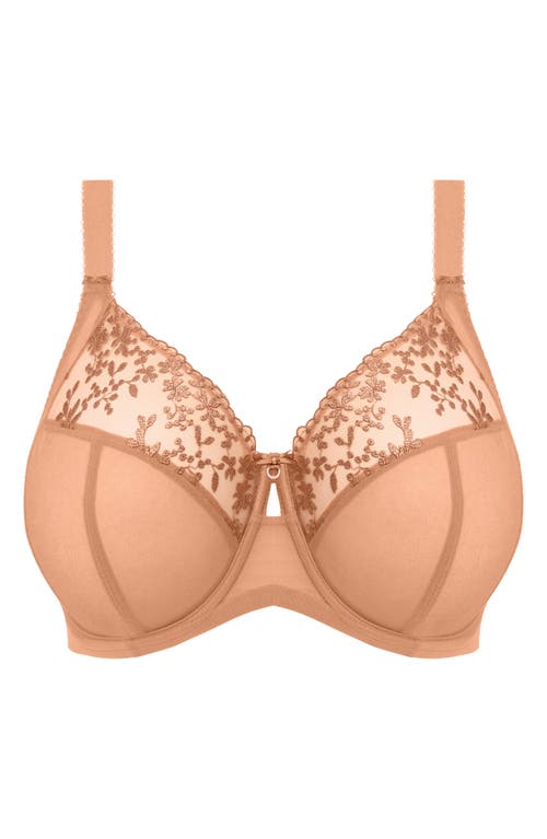 Elomi Zarla Full Figure Underwire Bra In Caf Au Lait