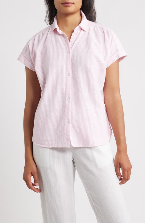 Beachlunchlounge Jamie Stripe Short Sleeve Cotton Shirt In Pink