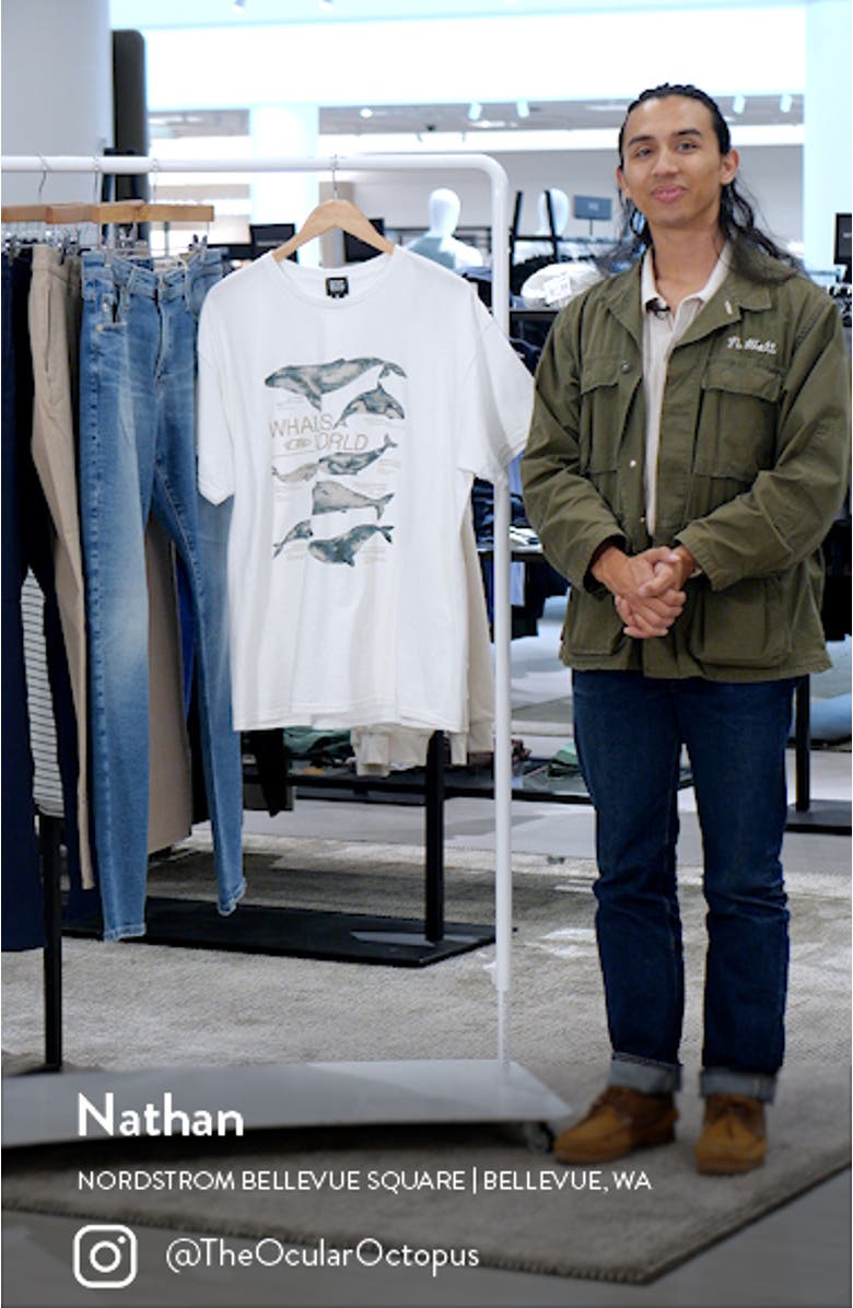 Whales of the World Graphic T-Shirt, sales video thumbnail