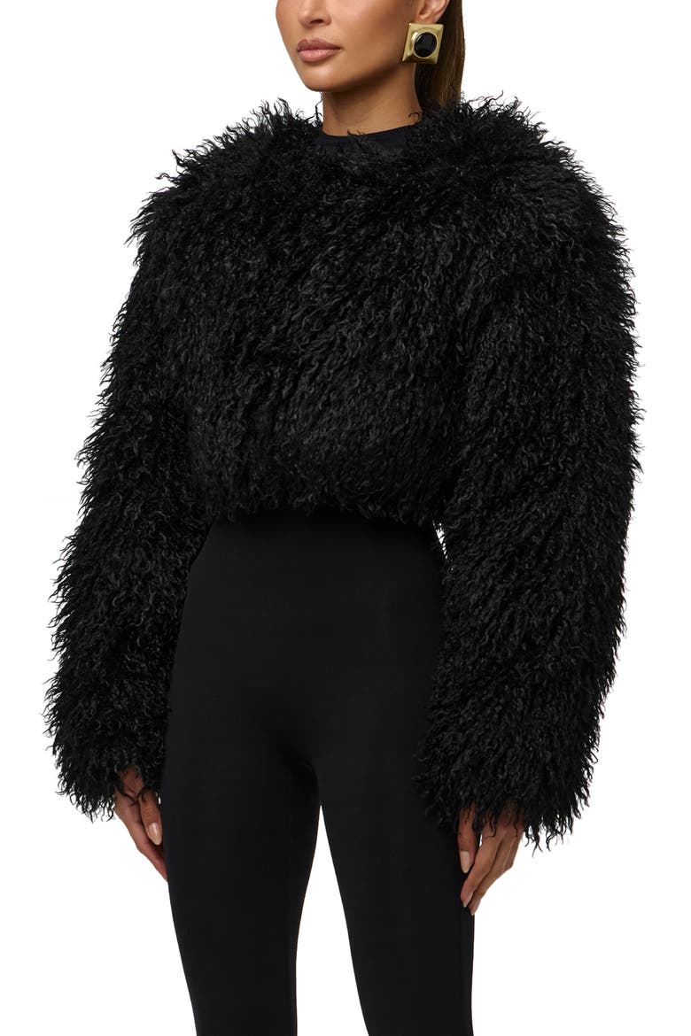 Faux Fur Plush Cropped Jacket, Alternate, color, BLACK