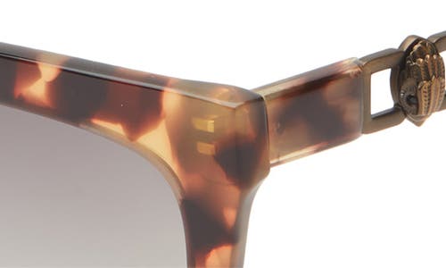Kurt Geiger London 53mm Polarized Cat Eye Sunglasses In Multi