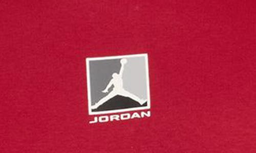 Jordan Graphic Print Brooklyn Fleece Hoodie In Red