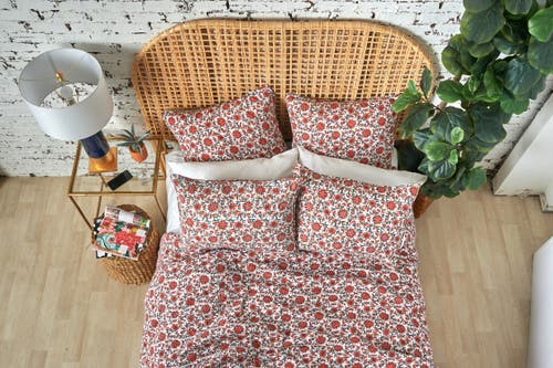 Carol & Frank 20" X 26" Colley Cotton Standard Sham In Multi