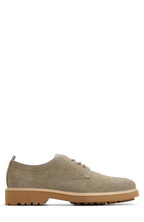 Ted Baker London Rye Derby In Light Sage