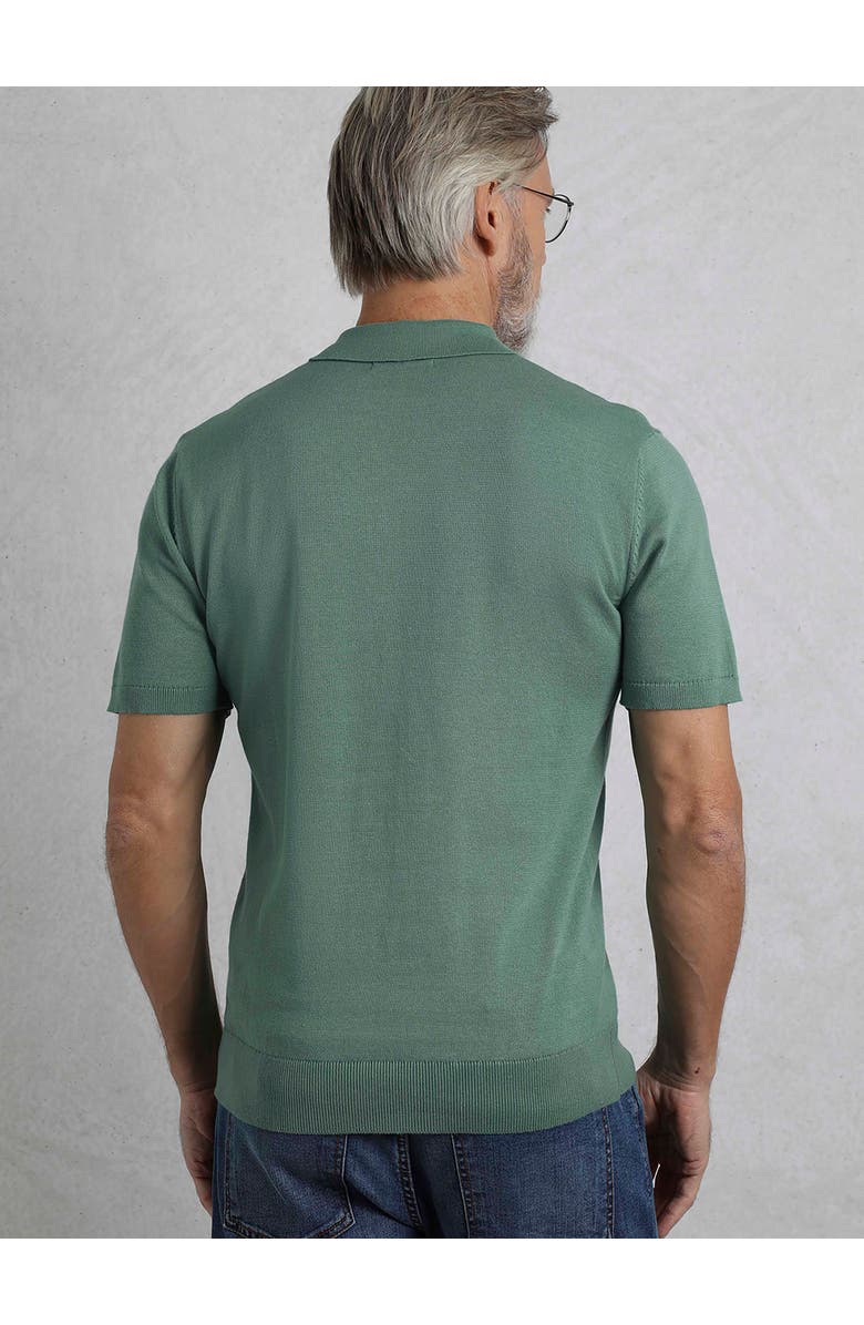 Weird Fish Quentin Short Sleeve Knitted Polo, Alternate, color, Ivy