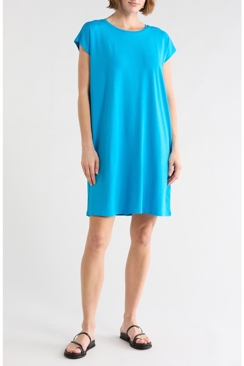 Crewneck Boxy Dress, Main, color, BLUE