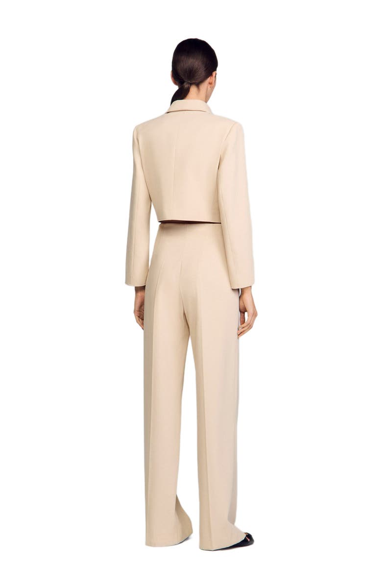 SANDRO Suit trousers, Alternate, color, 