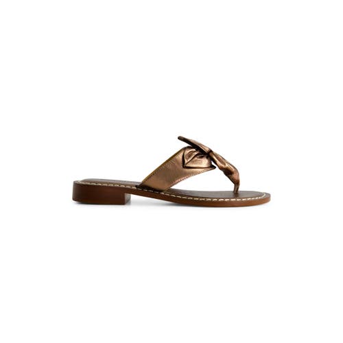 Shop Bernardo Footwear Taormina Thong Sandal In Light Pewter