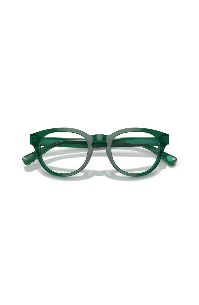 Polo Ralph Lauren 48mm Phantos optical glasses, Alternate, color, Green