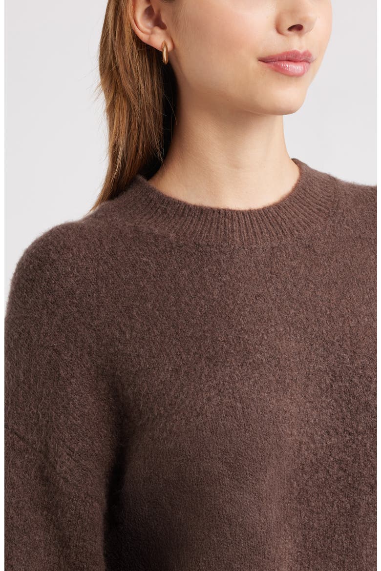Cozy Crewneck Sweater, Alternate, color, BROWN SEAL
