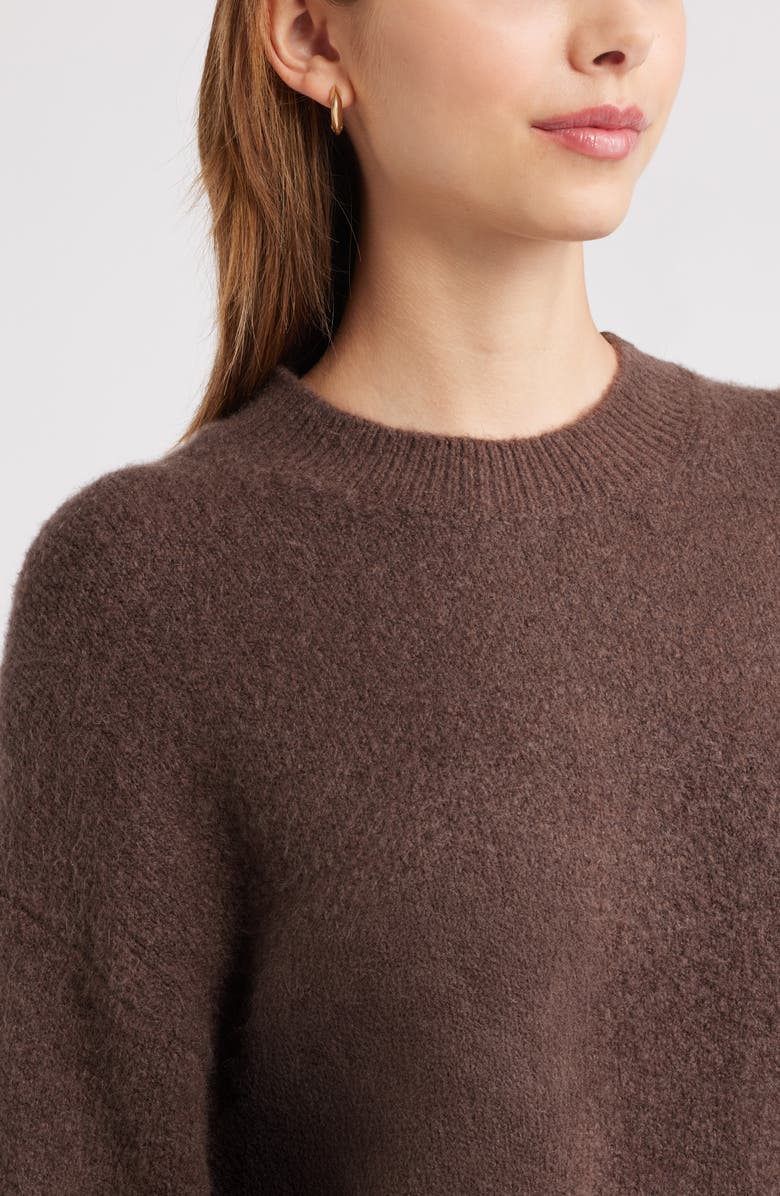 Open Edit Cozy Crewneck Sweater, Alternate, color, Brown Seal