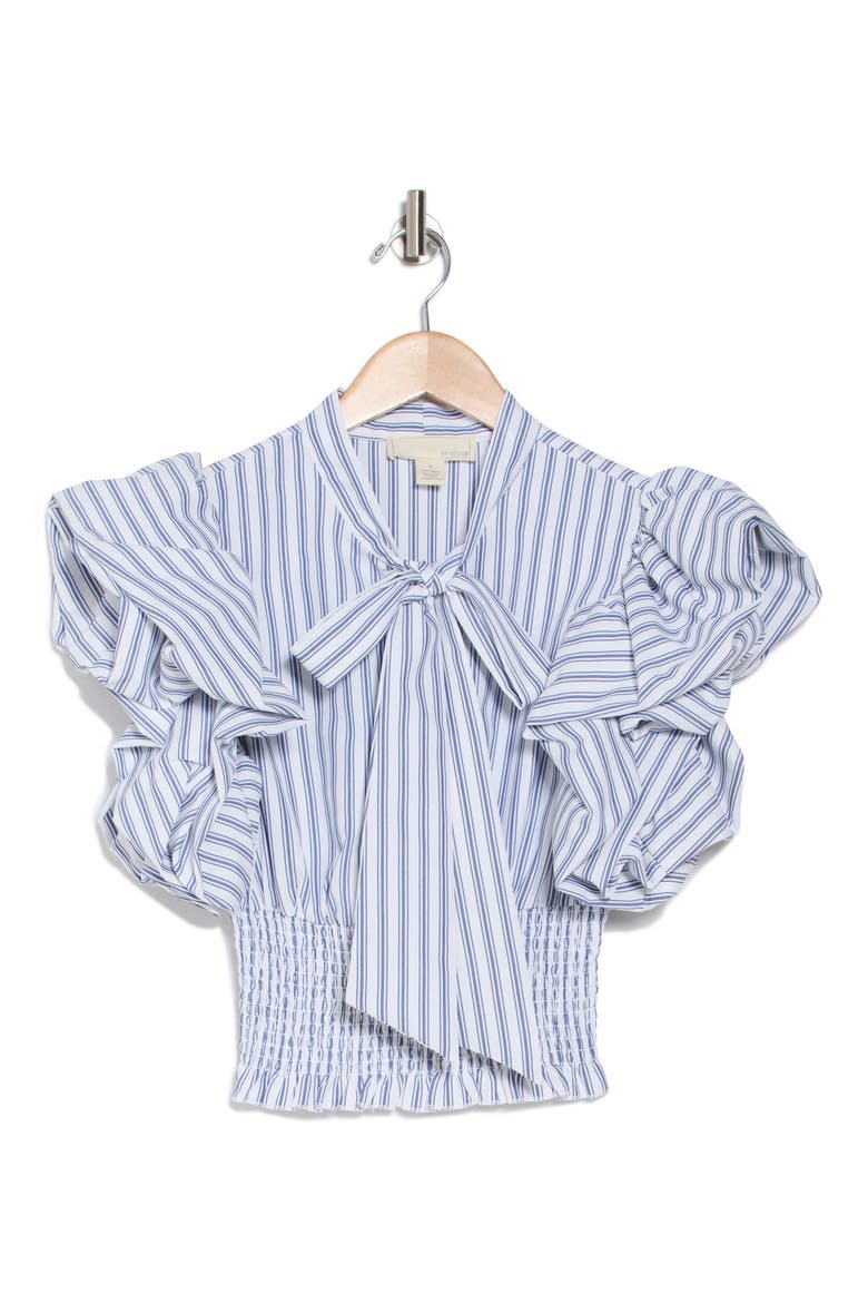 Dorothy Tie Front Ruffle Sleeve Crop Top, Alternate, color, MARTHAS VINEYARD STRIPE